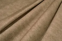 Duna (camel)